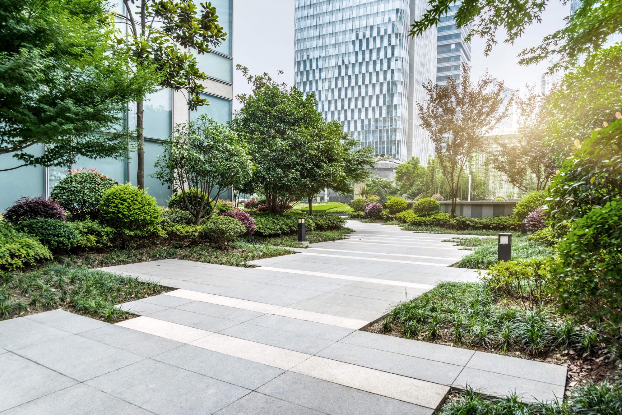 The green future of commercial real estate